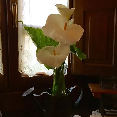 La Casona De Benito Cudillero