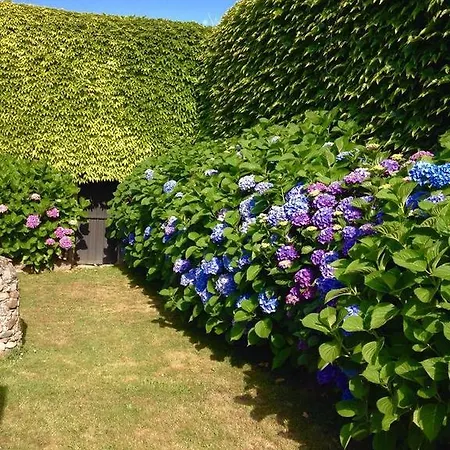 Casa di campagna La Casona De Benito *
