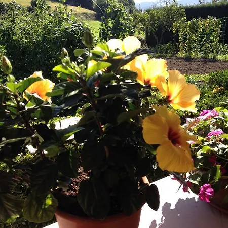 Casa di campagna La Casona De Benito