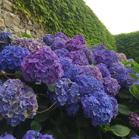 Casa di campagna La Casona De Benito Cudillero