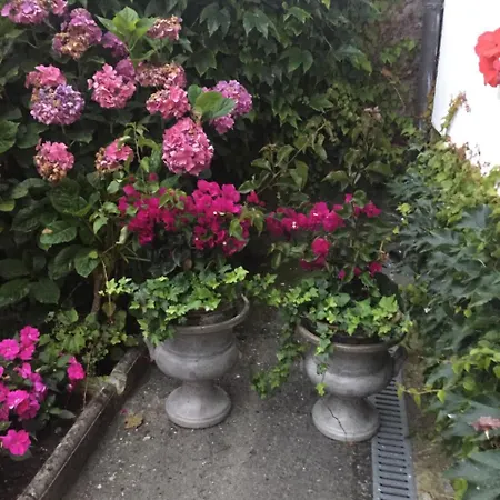 La Casona De Benito Casa di campagna *