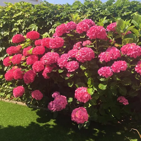 La Casona De Benito Cudillero