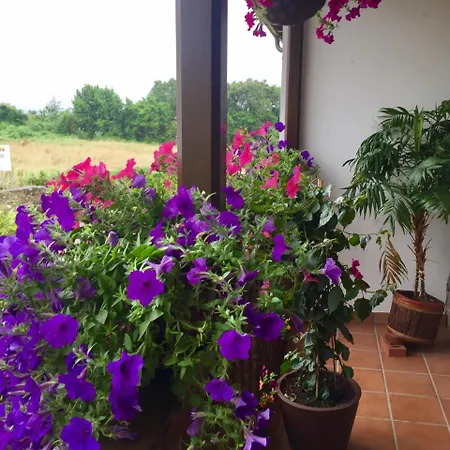 La Casona De Benito *