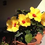 La Casona De Benito