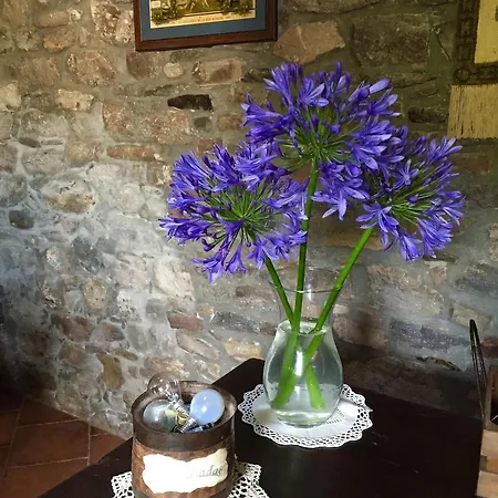 La Casona De Benito Cudillero