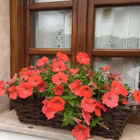 Casa rural La Casona De Benito Cudillero