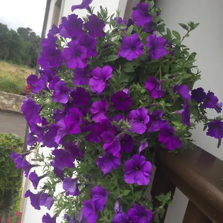 La Casona De Benito Landhuis *