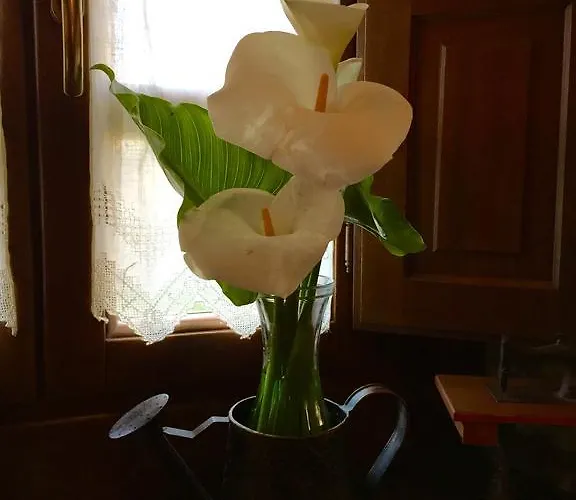 La Casona De Benito Cudillero