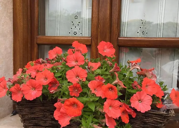 Casa rural La Casona De Benito Cudillero