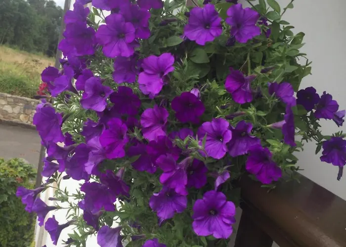 La Casona De Benito Casa rural *