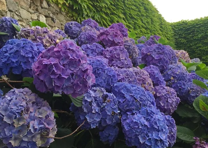 Casa rural La Casona De Benito Cudillero