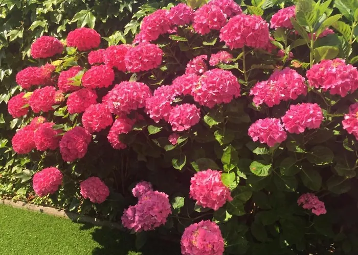 La Casona De Benito Cudillero