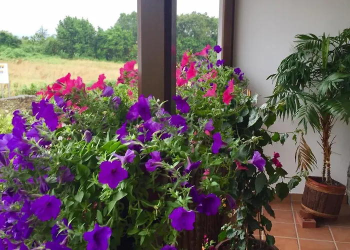 La Casona De Benito *